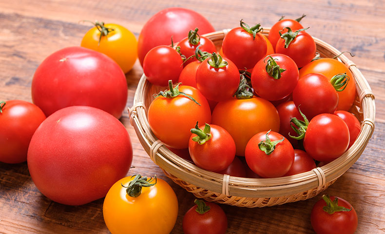 トマトの栄養とブーム